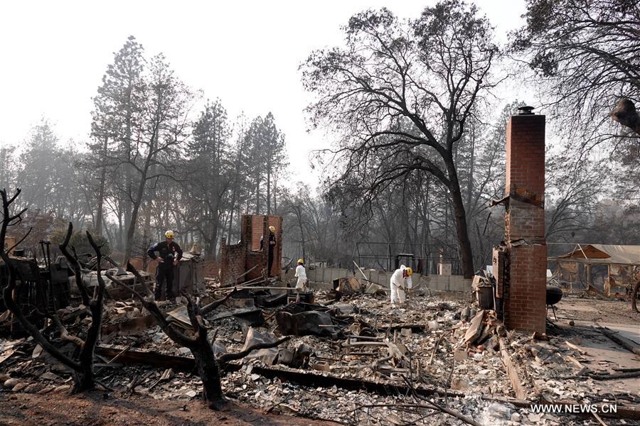 ?????? ??? ???? ???? ???? ?????????? ??? 77 ????