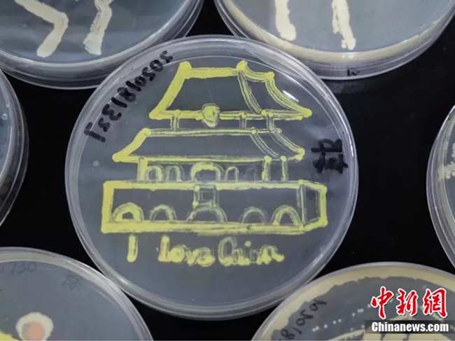 ???? ?????? ?????? ??????????