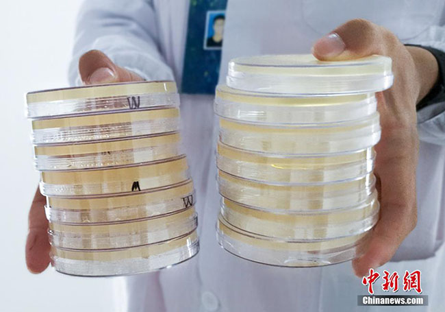 ???? ?????? ?????? ??????????