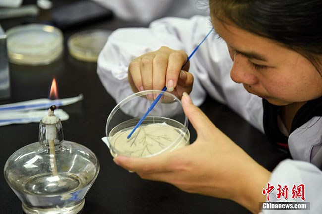 ???? ?????? ?????? ??????????