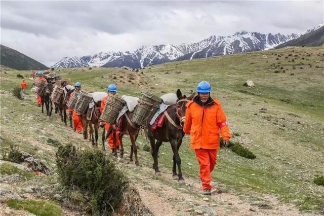 ????? ???? ???????? ?????? ??????? ?????? ?? ??????