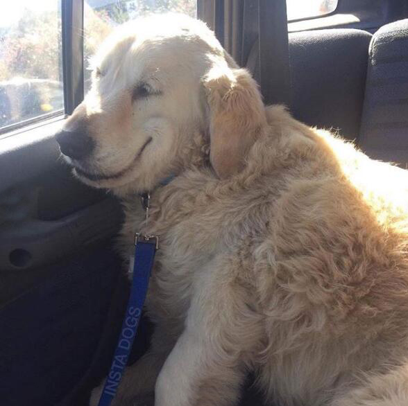 ??? ?????: ???? ?????? ??????