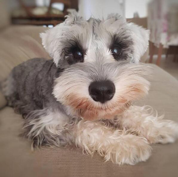 ??? ?????: ???? ?????? ??????