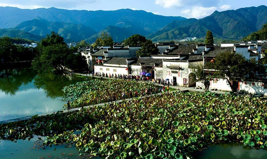 ??????: ???? ????? ???? ??????? ????? ?????? ?? ?????