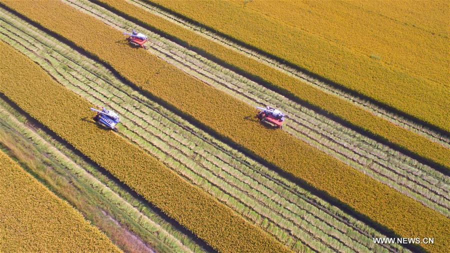 ???????? ?????? ?? ????? ?????