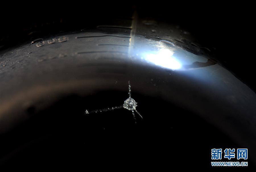 ??????: ???? ??? ???? ?????? ???? ???? ?? ??????