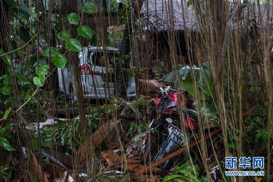 ???? 222 ???? ?????? ???? ?? 800 ????? ???? ??????? ?? ?????????