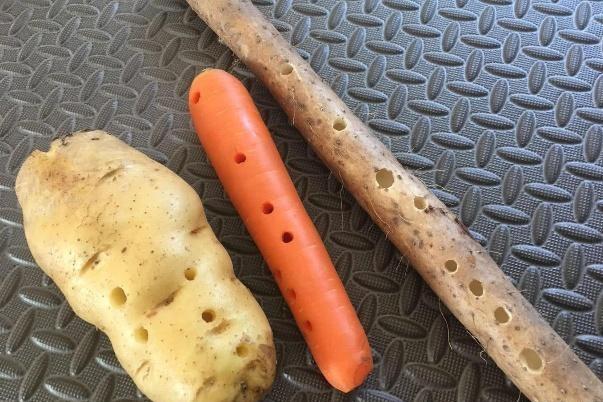 ????! ??? ???? ???? ???? ??????? ?? ????????