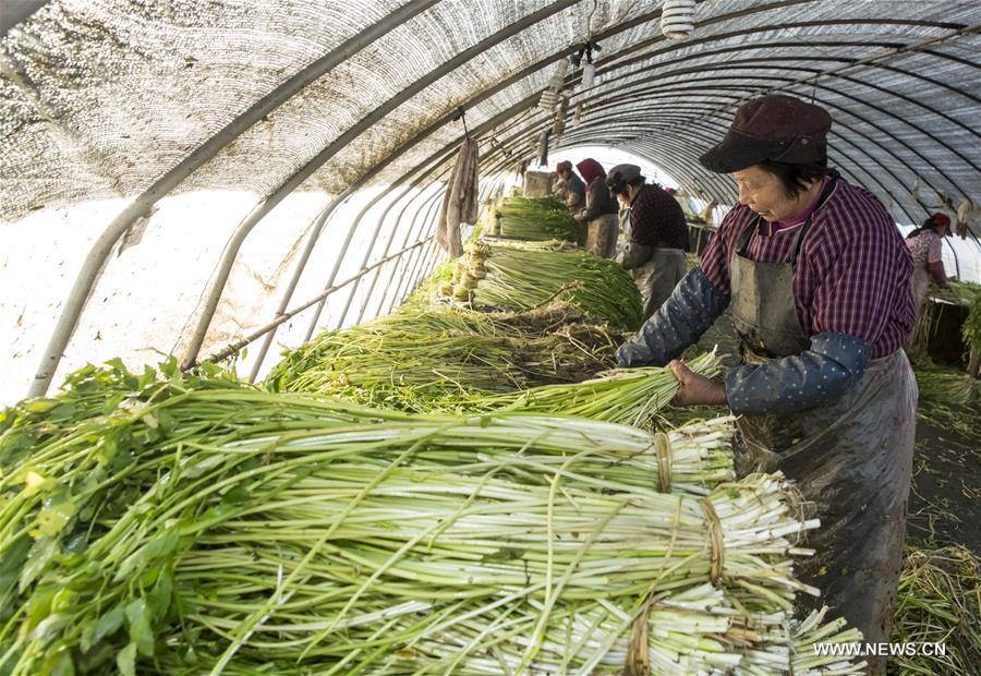 ???? ?????? ?????? ?????? ????????? ?? ??? ?????