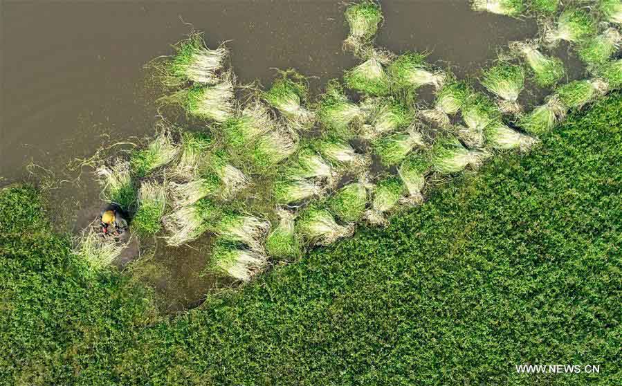 ???? ?????? ?????? ?????? ????????? ?? ??? ?????