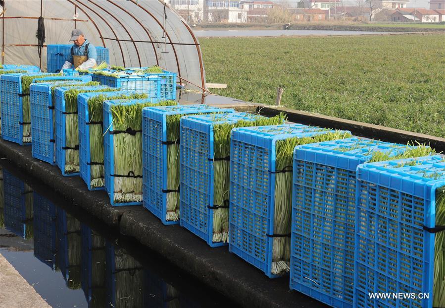 ???? ?????? ?????? ?????? ????????? ?? ??? ?????