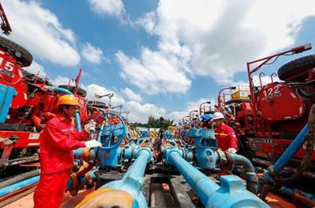 ?????? ???? ????? ?????? ????? ?????? ?? ?????