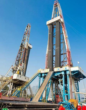 ?????? ???? ????? ?????? ????? ?????? ?? ?????