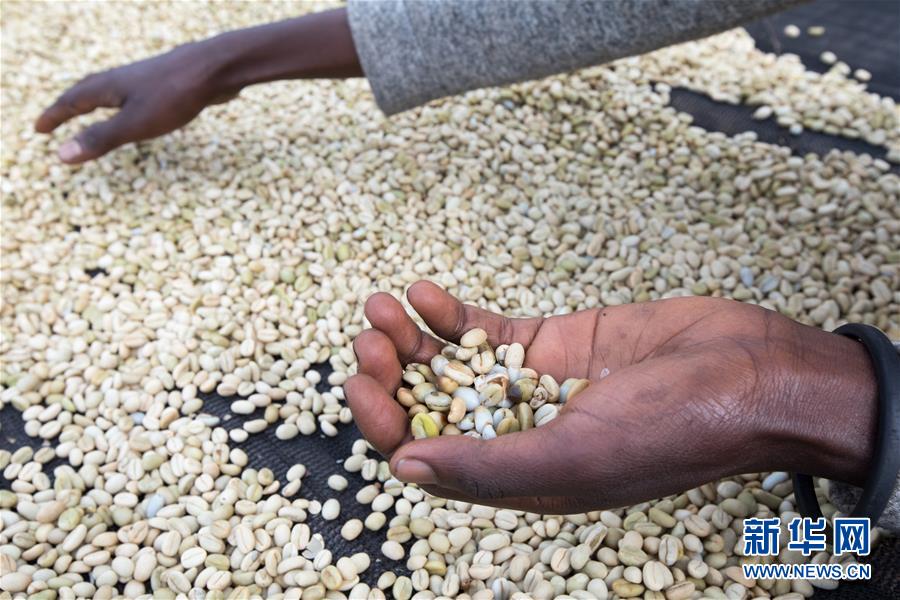 ?? ??????? ??? ?????: ???? ???? ???? ??? ???? 