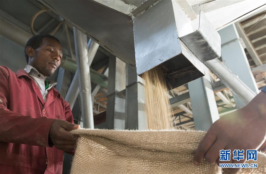 ?? ??????? ??? ?????: ???? ???? ???? ??? ???? 