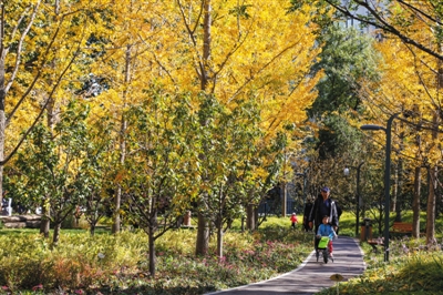 ????? ???? ?????? ???????? ??????? ?? ???????