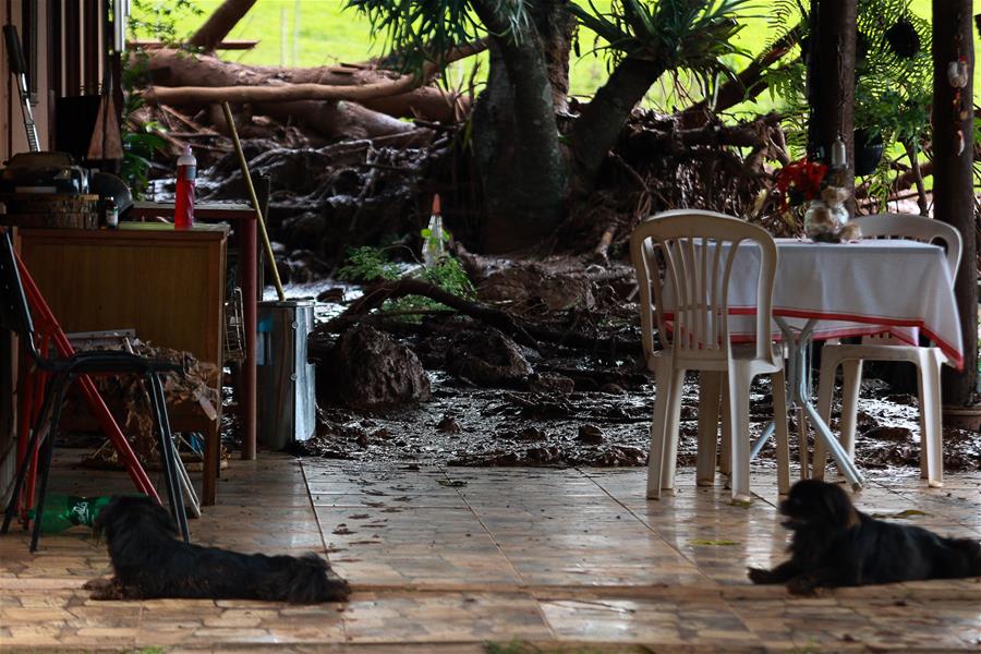 ???? 7 ????? ??? ????? ???? 150 ??? ????? ??? ?????? ?? ?? ????????