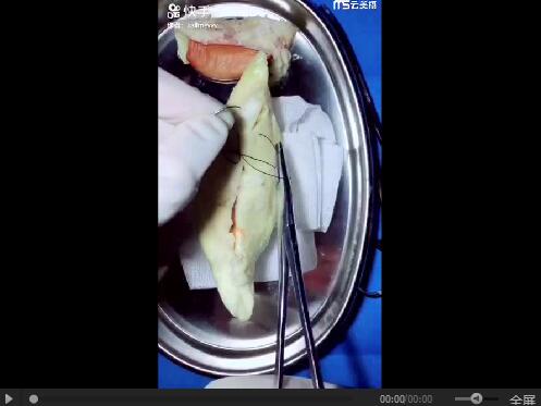 ???? ???? ????? ??????? ???? ???? ??? ???????? ?? ?????