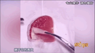 ???? ???? ????? ??????? ???? ???? ??? ???????? ?? ?????