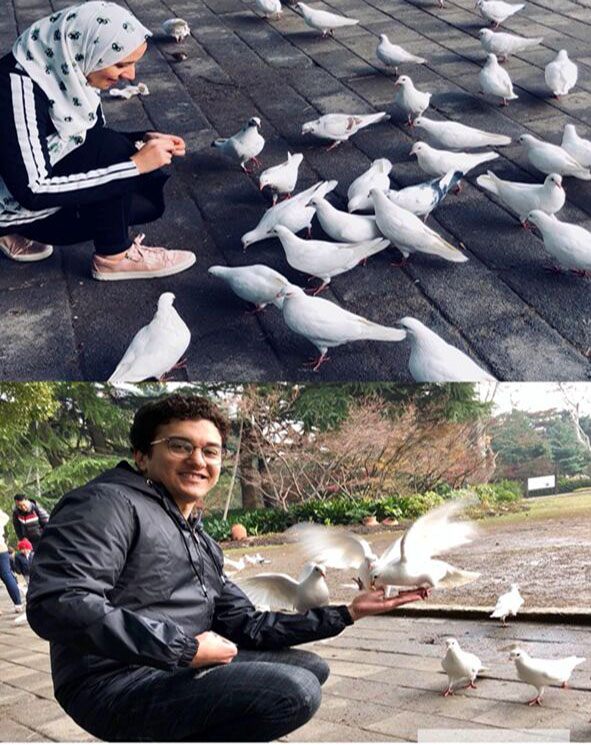 ??? ?????? ?? ????? ??????? ????? ?????