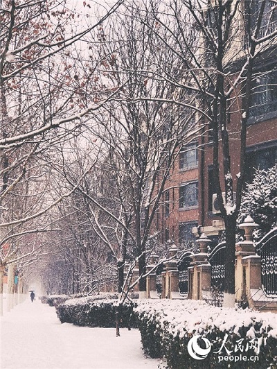 ?????? ???? ?? ???????? ??? ???? ?? ????