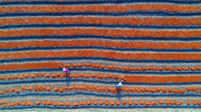 ?????? ??? ??????? ?10 ?????? ???? ????? ?? ????? ???? ?? ????? ???????