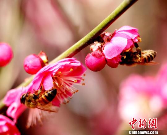 ?????: ???? ????? ???? ?? ??? ????