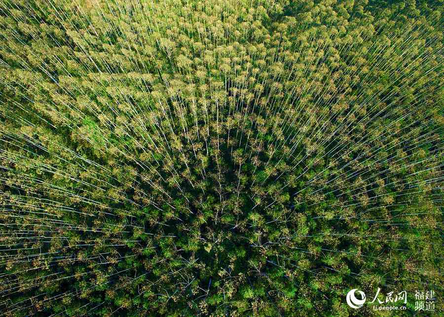 ??????: ???? ??????? ??????? ?? ?????? ?????? ???????