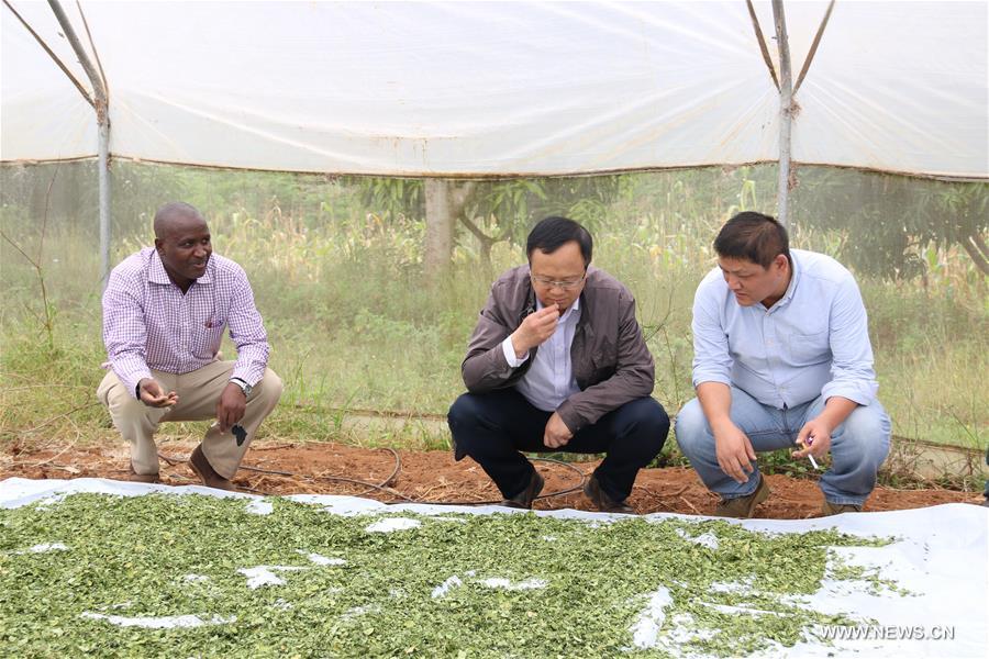 ????? ?????? ?? ??????? ?????? ??????? ???????