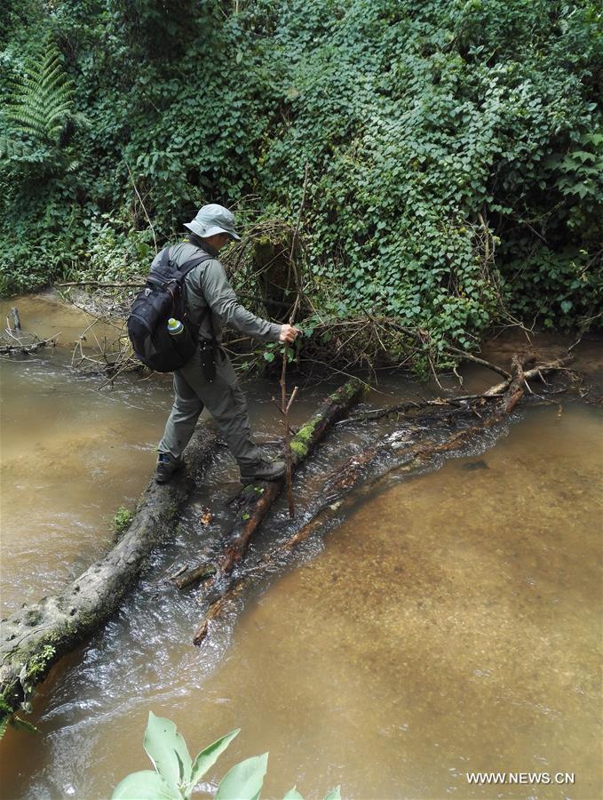 ????? ?????? ?? ??????? ?????? ??????? ???????