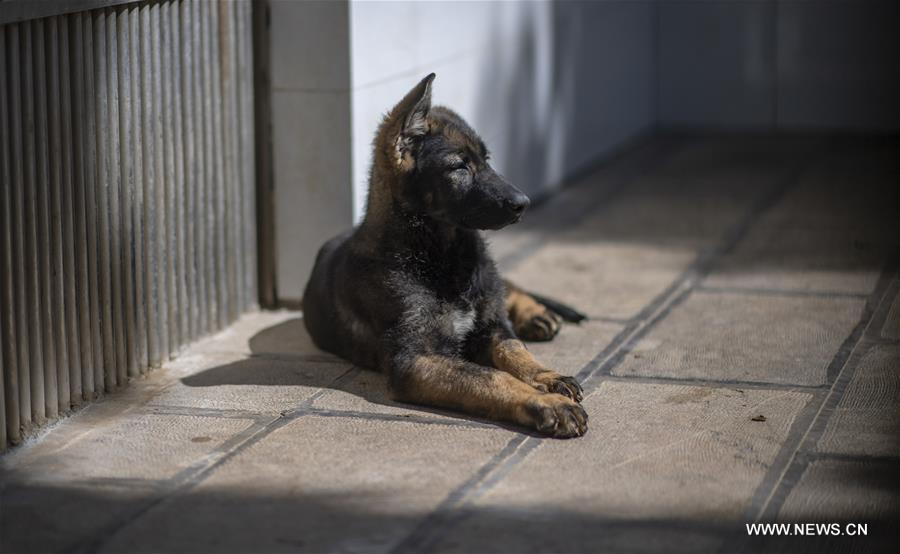 ??? ??? ???? ?????? ???? ???????? ?? ????? ?? ???? ???? ?????