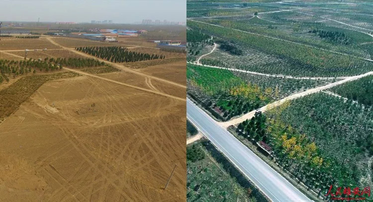 ?????? ?????: ?????? ????? ?????? ????? ??????? ???? ????? ?? ???????