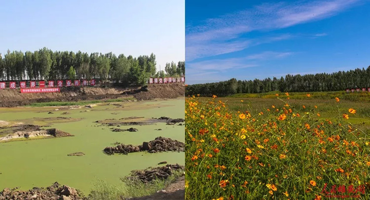 ?????? ?????: ?????? ????? ?????? ????? ??????? ???? ????? ?? ???????