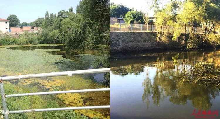 ?????? ?????: ?????? ????? ?????? ????? ??????? ???? ????? ?? ???????