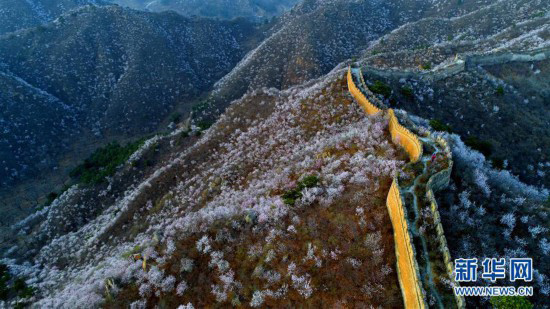 ??????: ???? 10 ????? ?????? ????? ???? ??? ????? ????