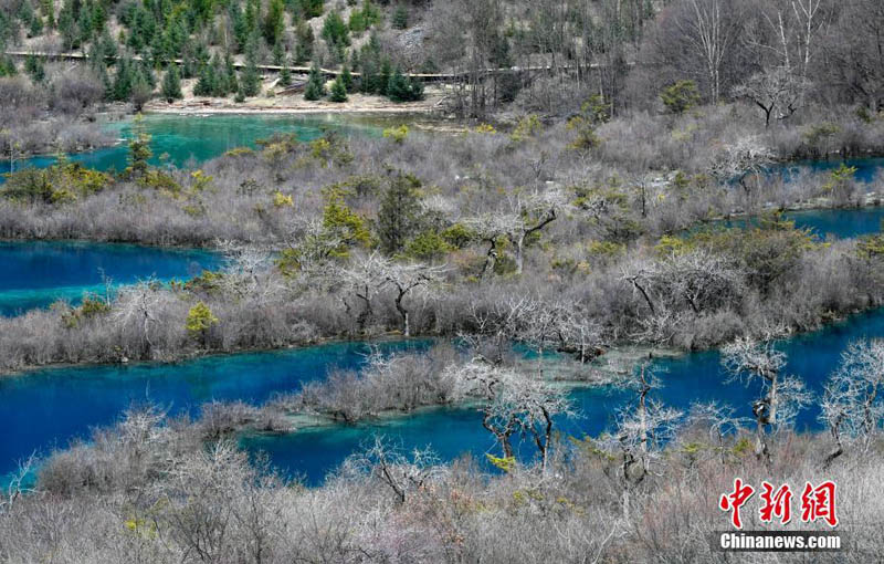 ??????: ???? 10 ????? ?????? ????? ???? ??? ????? ????