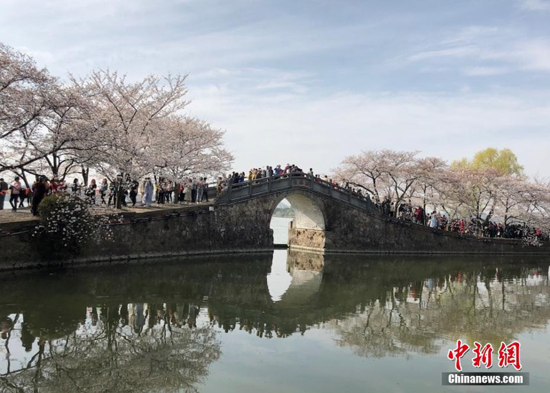 ??????: ???? 10 ????? ?????? ????? ???? ??? ????? ????