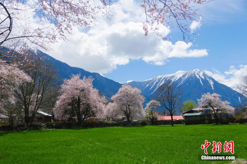 ??????: ???? 10 ????? ?????? ????? ???? ??? ????? ????