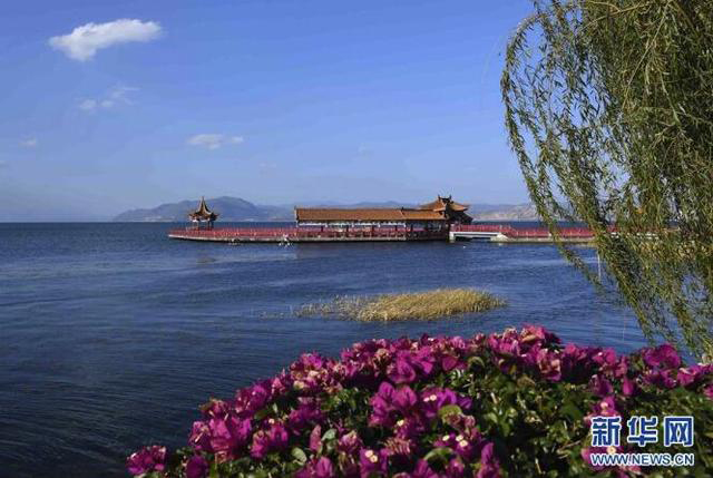 ??????: ???? 10 ????? ?????? ????? ???? ??? ????? ????