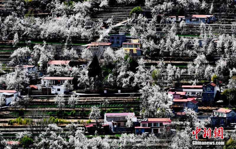 ??????: ???? 10 ????? ?????? ????? ???? ??? ????? ????