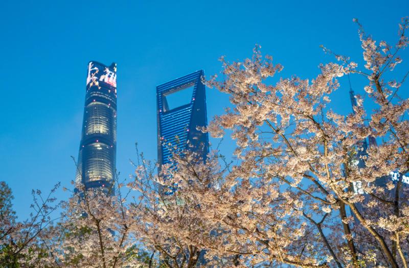 ??????: ?????? ???????? ?????? ????? ?? ????? ????????