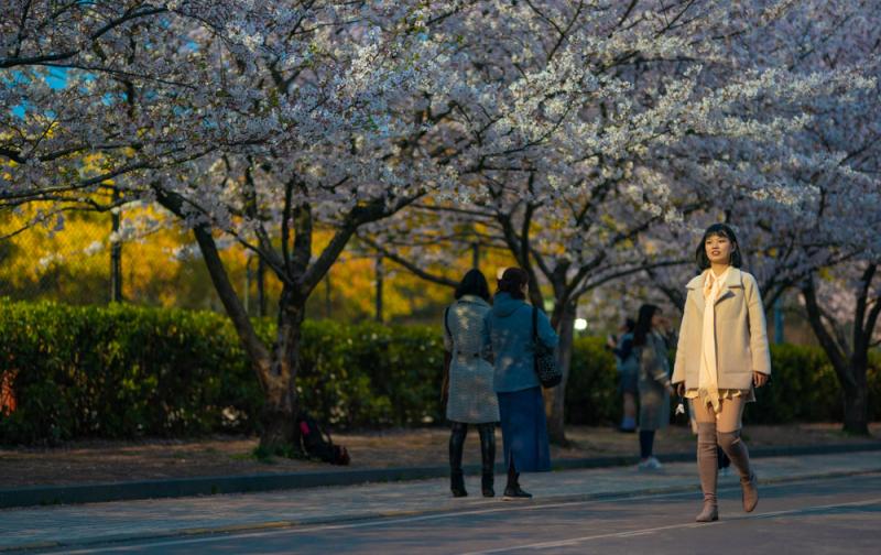 ??????: ?????? ???????? ?????? ????? ?? ????? ????????