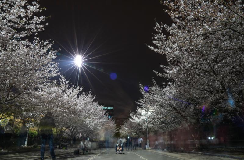 ??????: ?????? ???????? ?????? ????? ?? ????? ????????