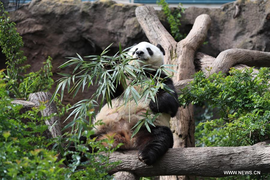 ????? ????? ??? ????? ???? ???? ???? ?????? ?? ??????? ????????