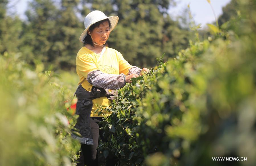 ????? ????? ????? ??? ????? ????? ?? ?????? ?????? ???? ?????