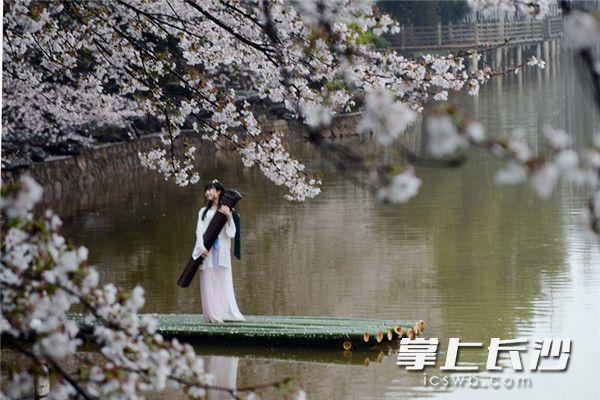 ?????? ????? ?????? ????? ???? ?????? ??????? ?????? ????? ???? ???? ?????