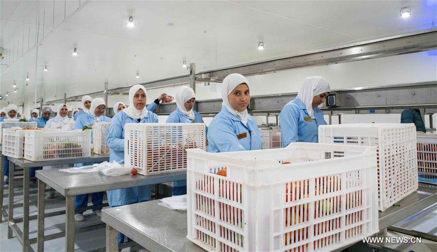 ????? ???? (???????): ?????? ????? ???????? ??????? ????? ?? ????? ??????? ??????? ????