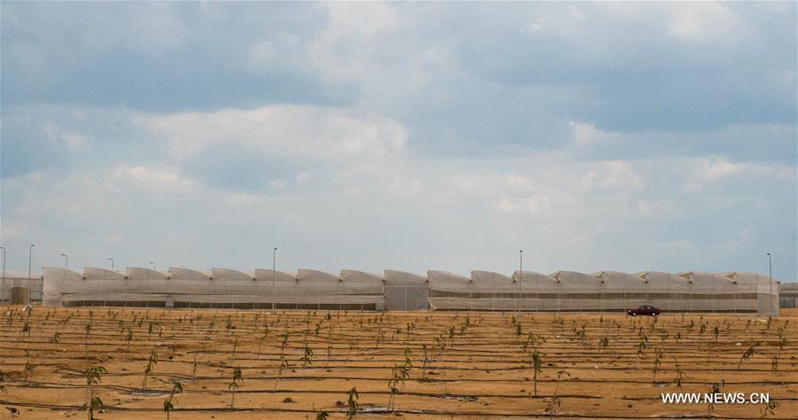 ????? ???? (???????): ?????? ????? ???????? ??????? ????? ?? ????? ??????? ??????? ????