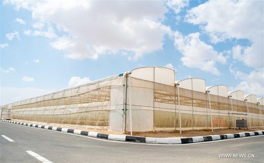 ????? ???? (???????): ?????? ????? ???????? ??????? ????? ?? ????? ??????? ??????? ????