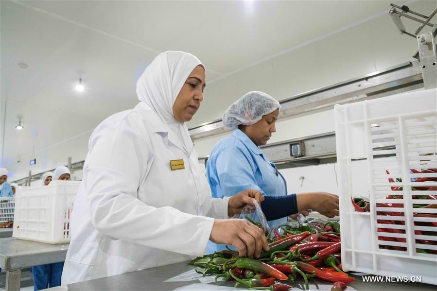 ????? ???? (???????): ?????? ????? ???????? ??????? ????? ?? ????? ??????? ??????? ????